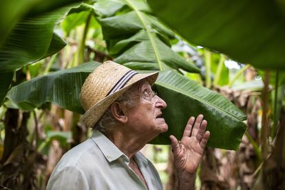 Con 36 variedades de árboles y arbustos obtiene caquis, ciruelos, peras, plátanos, naranjas, olivas, zapote, granadas, uva, almendras, melocotones, aguacates, membrillo, guayabas o papayas.