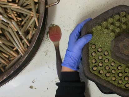 Preparación de marihuana para consumo médico.