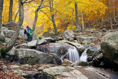 Itinerario circular y adaptado que comienza en el recinto de Can Cascades, punto de información del Parc Natural del Montseny, y pasa por la riera de Santa Fe, el camino de Can Lleonart, el camino de Cal Trompo y la Font del Frare, para volver finalmente al punto de partida. Pasamanos y caminos asfaltados permiten disfrutar tranquilamente de estos paisajes de un marcado aire mediterráneo, donde lo majestuoso de las masías rivaliza con el soberbio paisaje de los bosques.