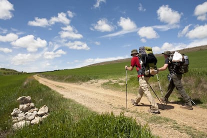 Dos peregrinos caminan por las llanuras burgalesas del Camino Francés.