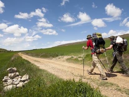Dos peregrinos caminan por las llanuras burgalesas del Camino Francés.