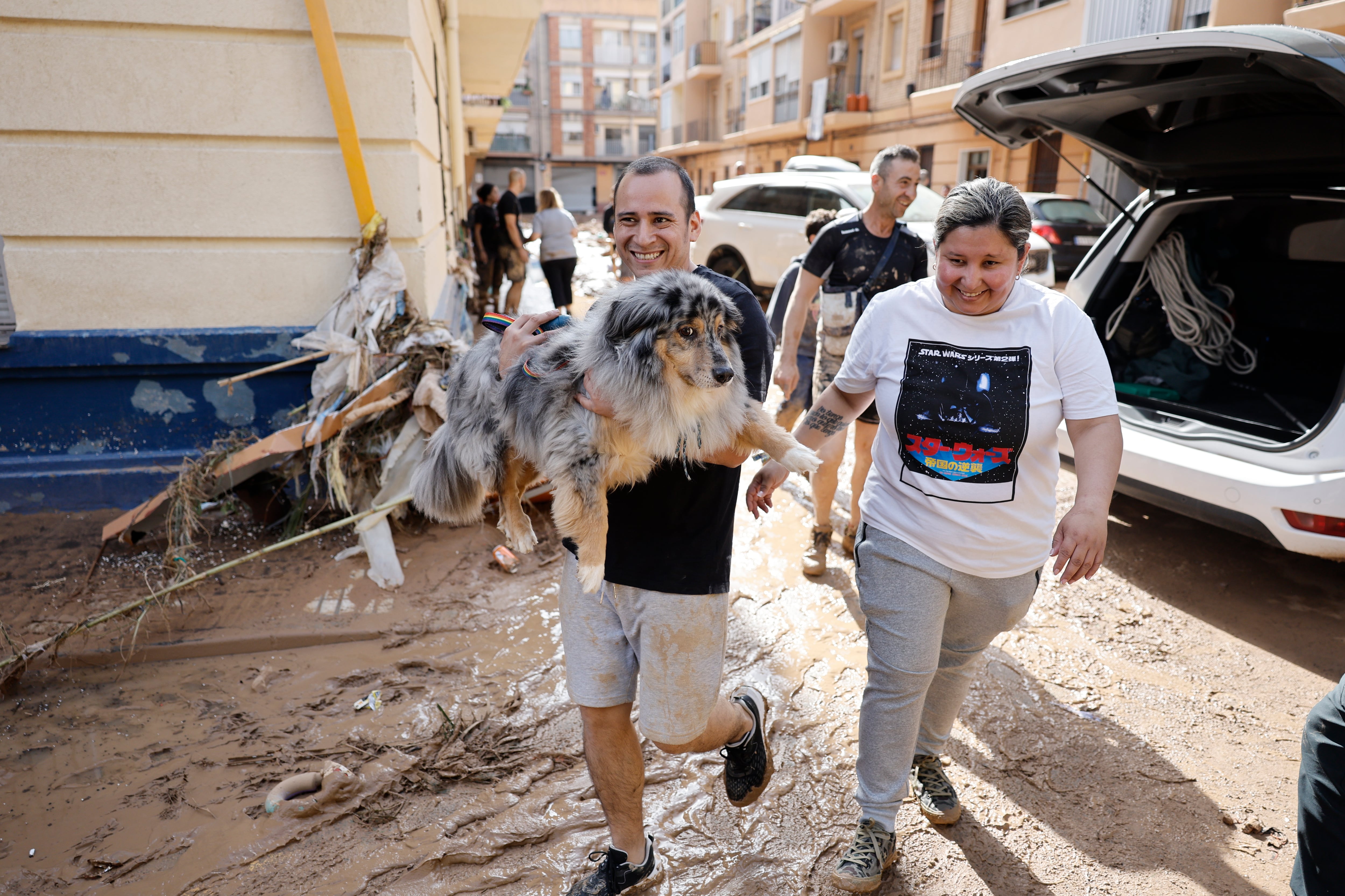 Cómo ayudar a la adaptación de mascotas acogidas tras la dana 