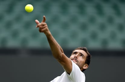 Marin Cilic