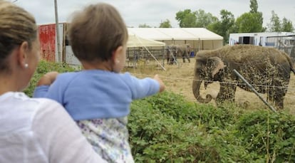Una niña y su madre observan los elefantes del Gran Circo Mundial