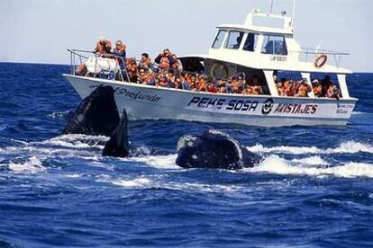 Grupo de turistas en una excursión de avistamiento de las ballenas francas australes en el golfo Nuevo de la Península Valdés.