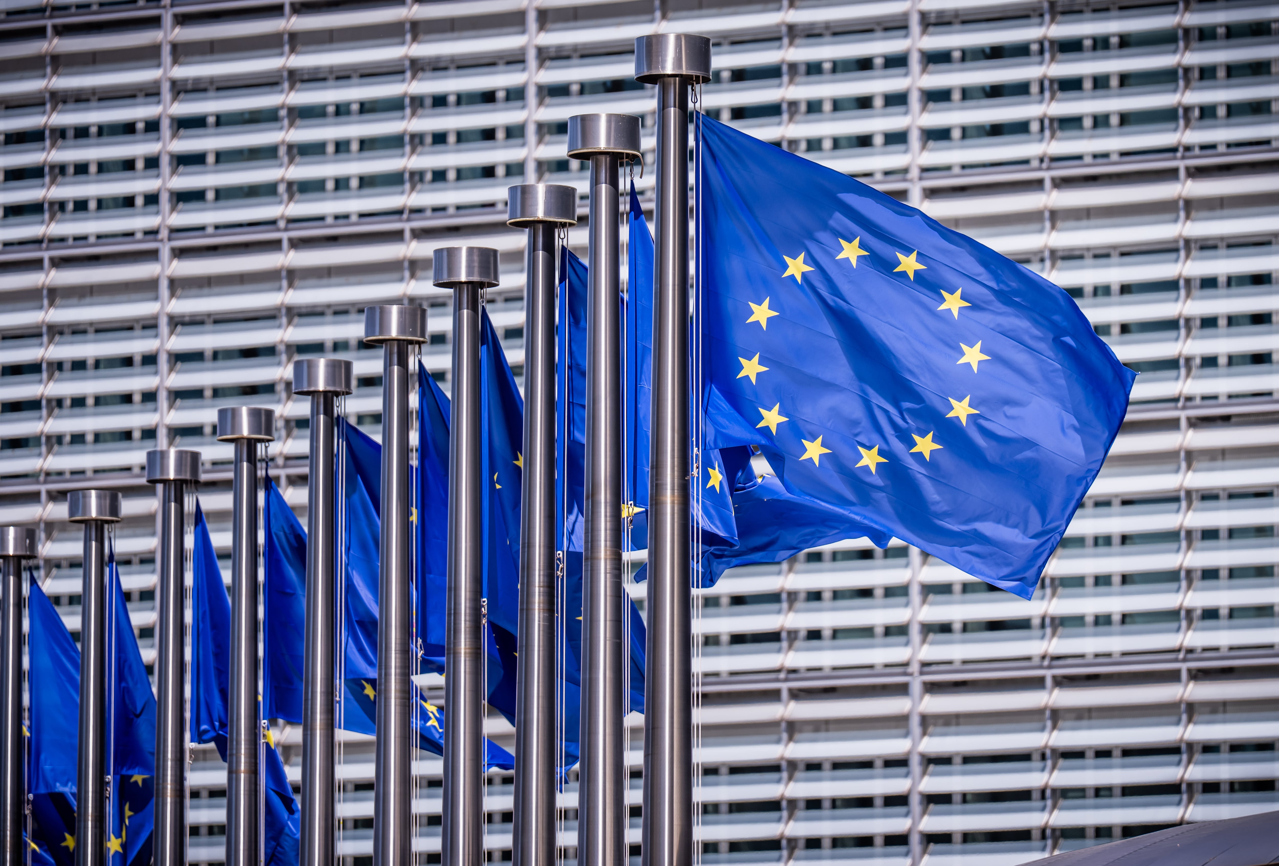 ¿Confusión europea? ¡Volver a Ventotene!