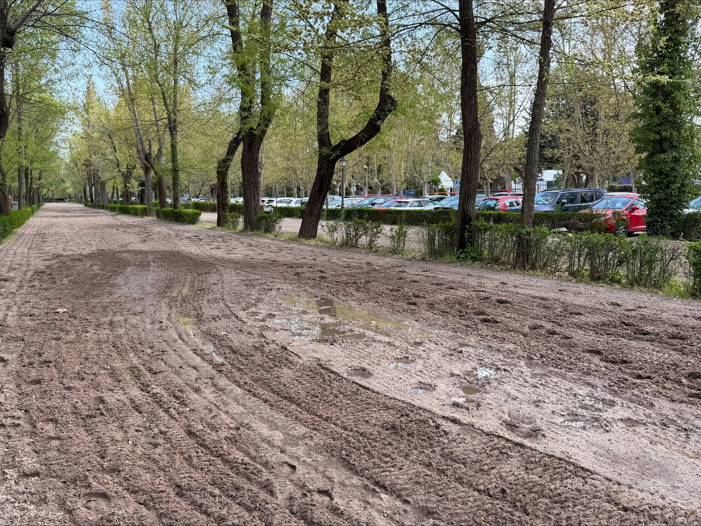Una de las pistas del Real Club de Campo de Madrid, el 8 de abril de 2026. 