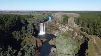 Desde hace 15 años, ARAUCO ha estudiado el comportamiento de sus cuencas y de la incidencia de sus bosques en el ciclo hidrológico, y parte de eso, es monitorear cada cinco minutos el caudal de 16 cuencas ubicadas en distintas regiones del país.