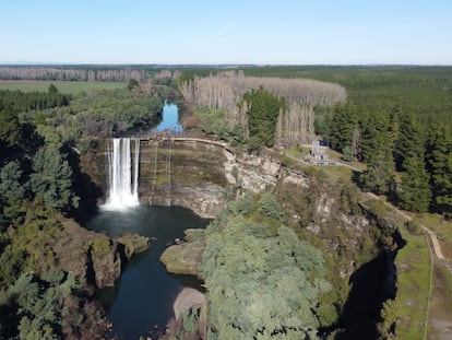 Desde hace 15 años, ARAUCO ha estudiado el comportamiento de sus cuencas y de la incidencia de sus bosques en el ciclo hidrológico, y parte de eso, es monitorear cada cinco minutos el caudal de 16 cuencas ubicadas en distintas regiones del país.