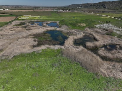 Laguna de Soto-Gutiérrez en Ciempozuelos Madrid