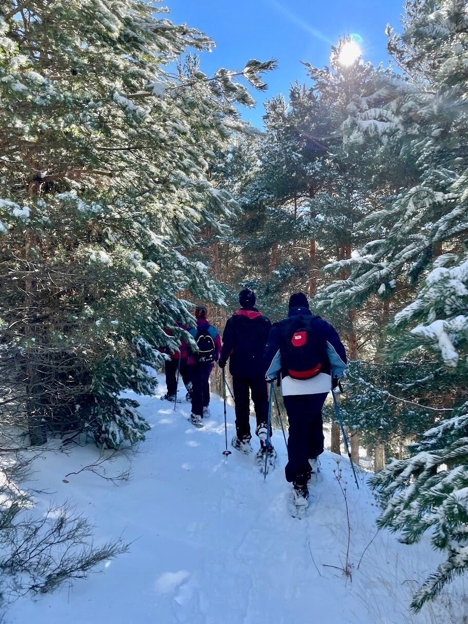 Ruta por la nieve hasta la cumbre del Mulhacén, en Sierra Nevada (Granada), una de las excursiones guiadas por el parque nacional. 