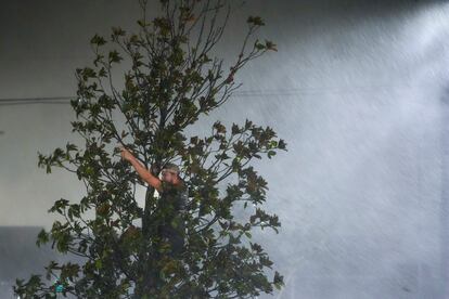 A man stands in a tree as Hurricane Milton hits Tampa, Florida.