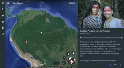 Captura da tela da plataforma 'Eu sou Amazônia' do Google Earth.