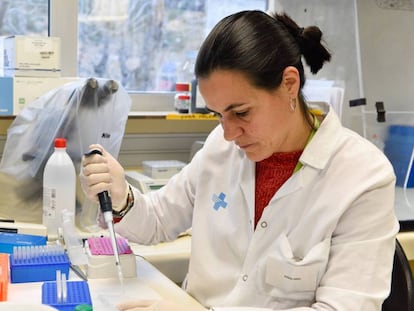 Pesquisadora manipula uma amostra nos laboratórios do instituto IrsiCaixa