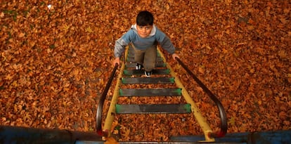 Un niño sube una escalera en un parque infantil cubierto con hojas caídas, en Srinagar (India), el 13 de noviembre de 2018.