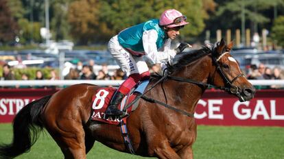 El jockey italiano Frankie Dettori montando a Enable en la carrera plana Prix de l'Arc de Triomphe de 2019 (Francia).