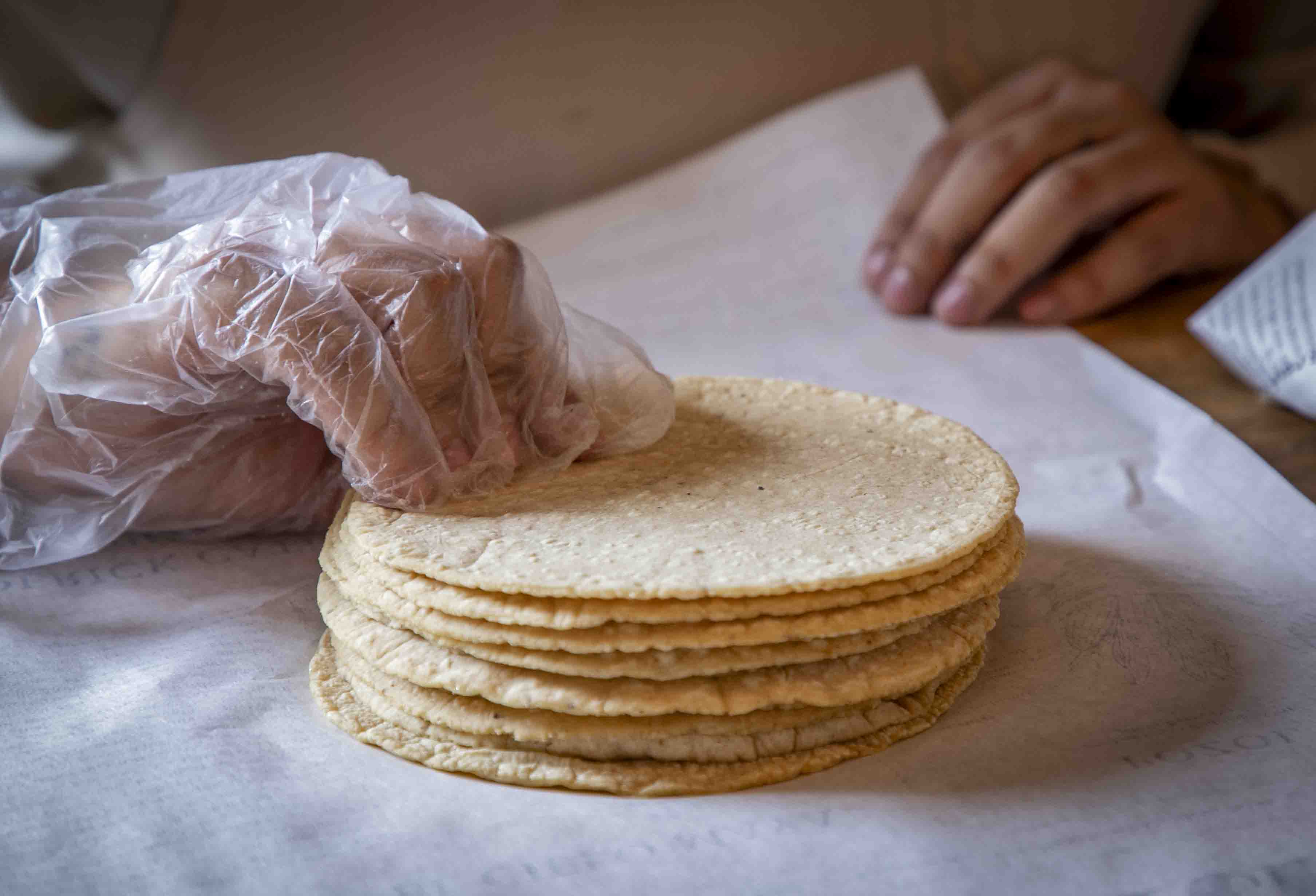 ¿Subirá el precio de la tortilla?  Sheinbaum dice que no, pero la industria la contradice por la presión inflacionaria