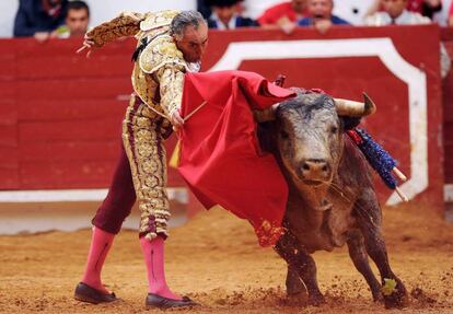 El torero El Pana, en una corrida en Francia, en julio de 2014. 