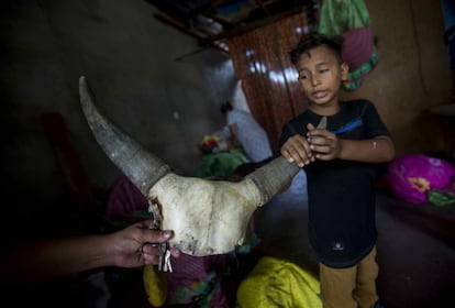 Un niño escoge unos cuernos de vaca para elaborar un traje del tradicional baile de las 'vacas culonas' durante el inicio de las fiestas en honor a Santo Domingo de Guzmán.