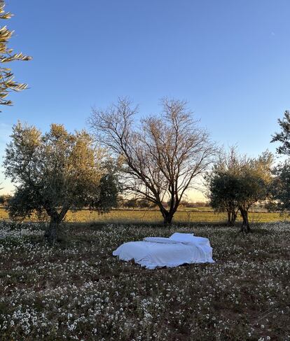 Dormir a pierna suelta puede ser el mejor de los regalos. Sumergirse en unas sábanas suaves de algodón natural con un diseño limpio y sencillo, que no canse y dure año tras año, un aliciente para conseguirlo. Con este objetivo, Beatriz Currás puso en marcha Cometa a finales de 2021, una marca 'premium' de ropa de cama creada en una antigua fábrica de Portugal sin químicos añadidos, a precios asequibles y con tejidos de 300 hilos. Precio: 117 euros el juego básico disponible en cometahome.com.