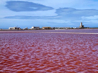 Tonalidades rojas por la precipitación de la sal marina en las balsas condensadoras de Las Salinas de Cabo de Gata