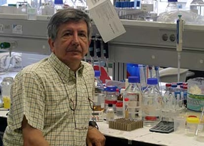 Jos Mara Delgado, en su laboratorio de la Universidad Pablo de Olavide.