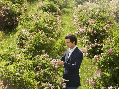 Reformular el icono de los perfumes