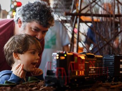 Asistentes al tradicional Holiday Train Show, en el Jard&iacute;n Bot&aacute;nico de Nueva York. 