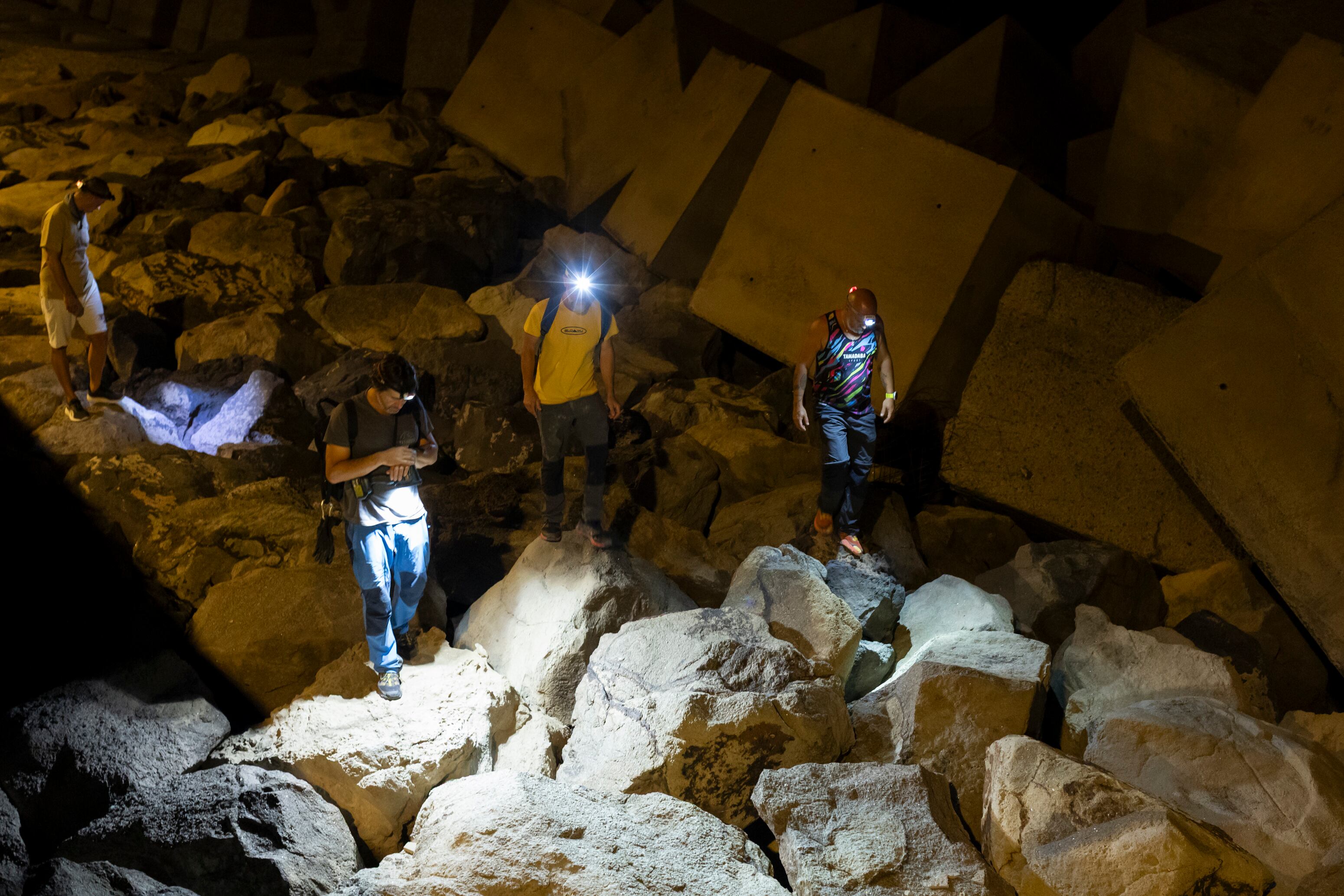 Trabajadores del Cabildo y trabajadores de la empresa Tagorock, buscaban pardelas extraviadas en la escollera del muelle de Agaete (Gran Canaria) el 29 de octubre. 