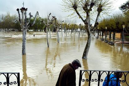 Un parque inundado por el río Ebro en Tudela este viernes.