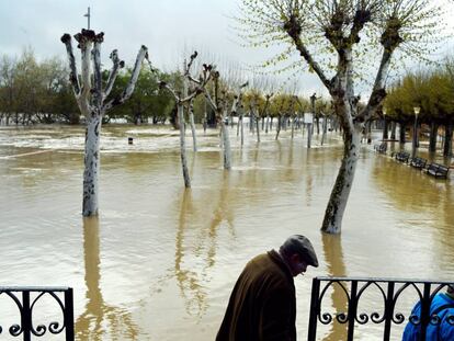 Un parque inundado por el río Ebro en Tudela este viernes.