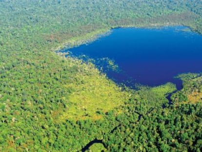 Deforestación cero para proteger el negocio