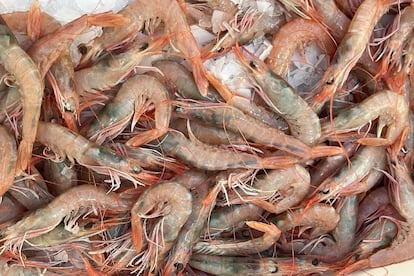 Una caja con gambas de Huelva