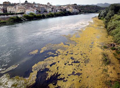 El Ebro a su paso por Móra d&#39;Ebre.