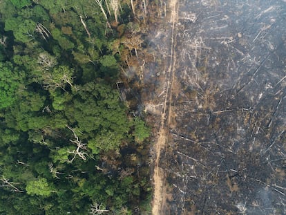 Vista de área desmatada na Amazônia em agosto de 2020.