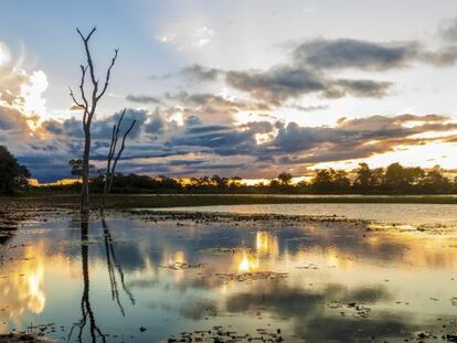 Zona de Pantanal en Brasil.