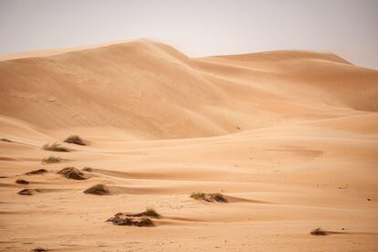 Las dunas de Erg Amatlich.