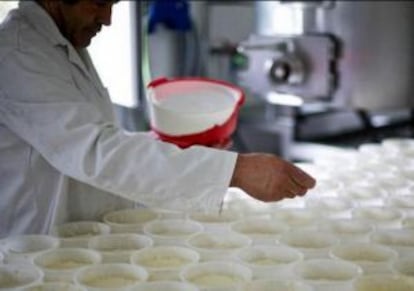 Proceso de elaboración en la quesería La Collada, en Cirieño.