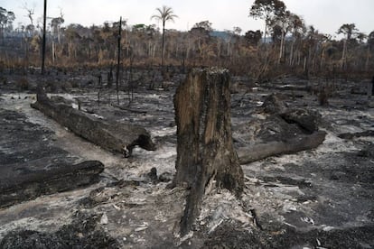 Vegetação destruída após queimadas em Novo Progresso, na região amazônica.