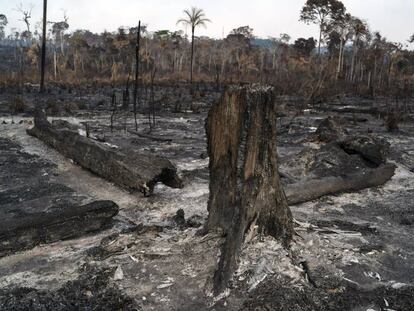 Vegetação destruída após queimadas em Novo Progresso, na região amazônica.