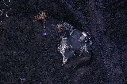 Casas cubiertas por la lava en Las Norias, en la isla de La Palma.