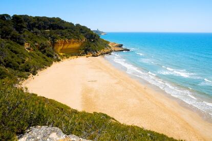 La vecindad del complejo petroquímico pone en valor más todavía esta reliquia mediterránea. Hay que aparcar en el restaurante Mirall d’Estiu, en playa Larga, y marchar dos kilómetros: los pinares dejan paso a una incómoda bajada final. Unos deambulan a cuerpo gentil, otros se dan un chapuzón. Todos hablan maravillas.