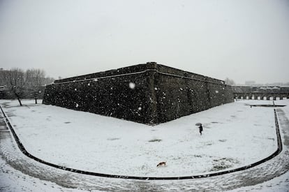 Pamplona (Navarra) ha amanecido cubierta de nieve por el temporal de frío y viento que afecta al norte de España.