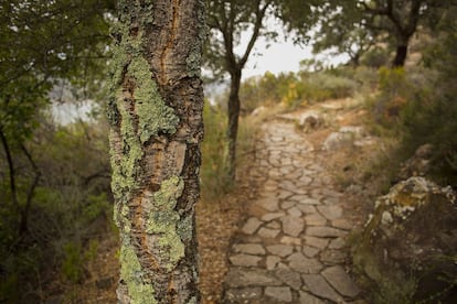 La finca es tan grande que cuenta con 163 kilómetros de cercados.