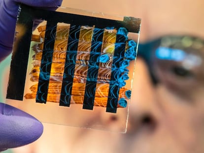 ¿Quiere tomar mejores decisiones? Aprenda microbiología