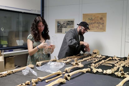The research team classifies skeletons.