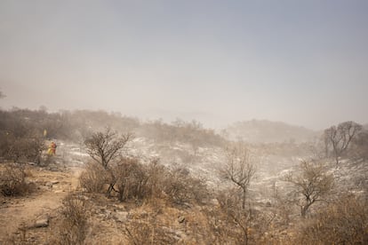 Bomberos trabajando para controlar el fuego en uno de los territorios altamente afectados. 