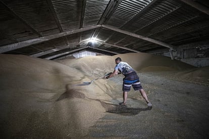 Un granjero acumula cereal en un granero de Odesa, Ucrania.