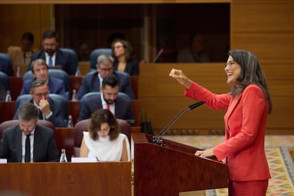 La portavoz de Más Madrid en la Asamblea, Manuela Bergerot.