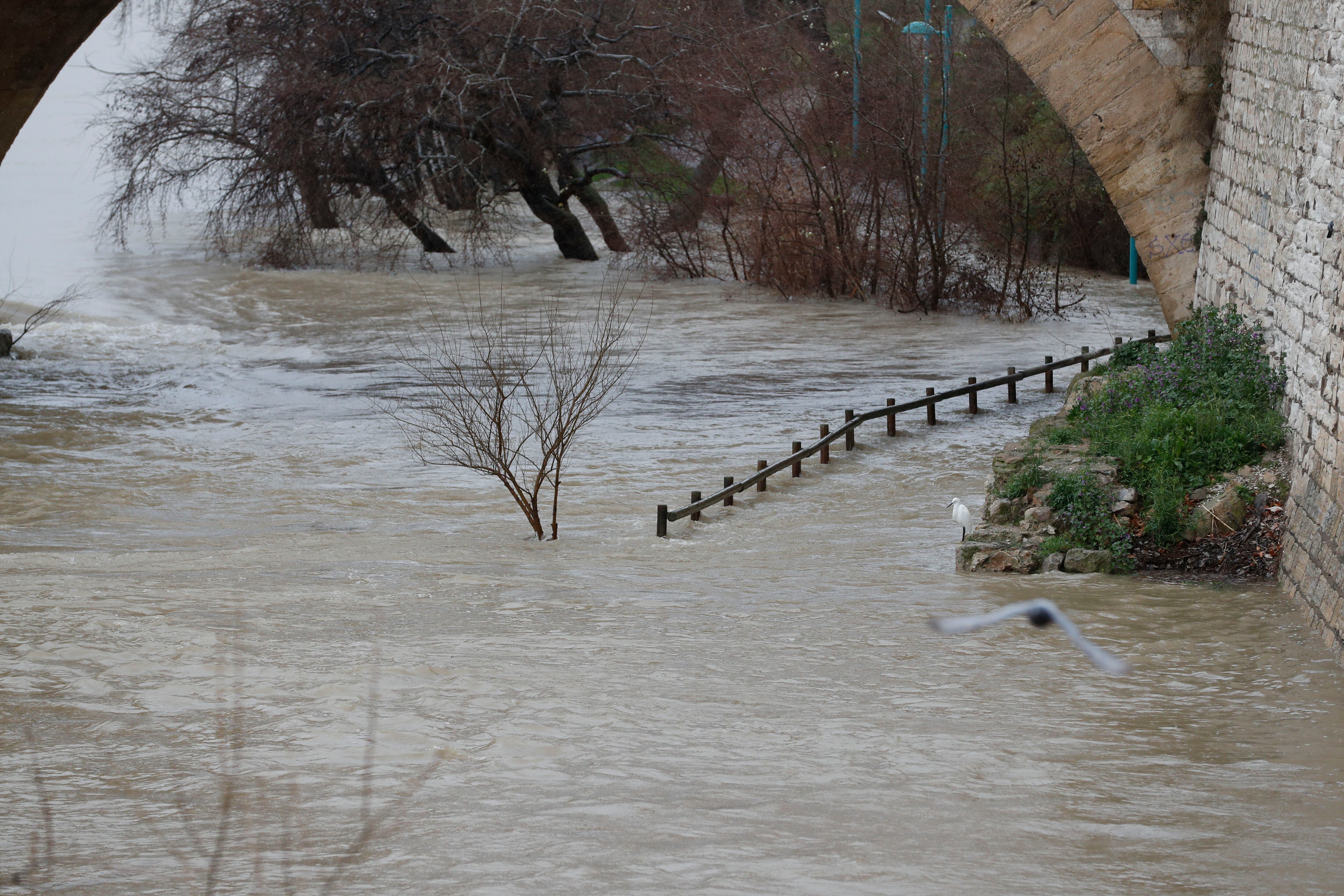 Vento forte della borrasca Oriana: una donna muore, scuote penisola da sud a est
